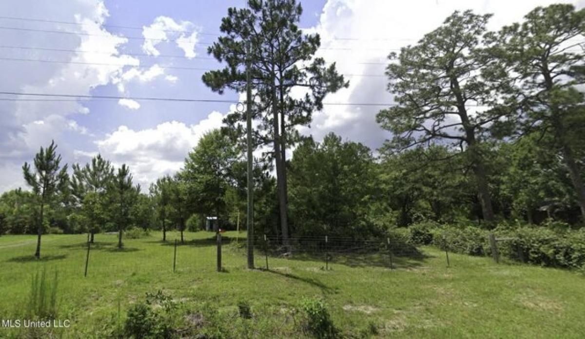 Picture of Residential Land For Sale in McHenry, Mississippi, United States