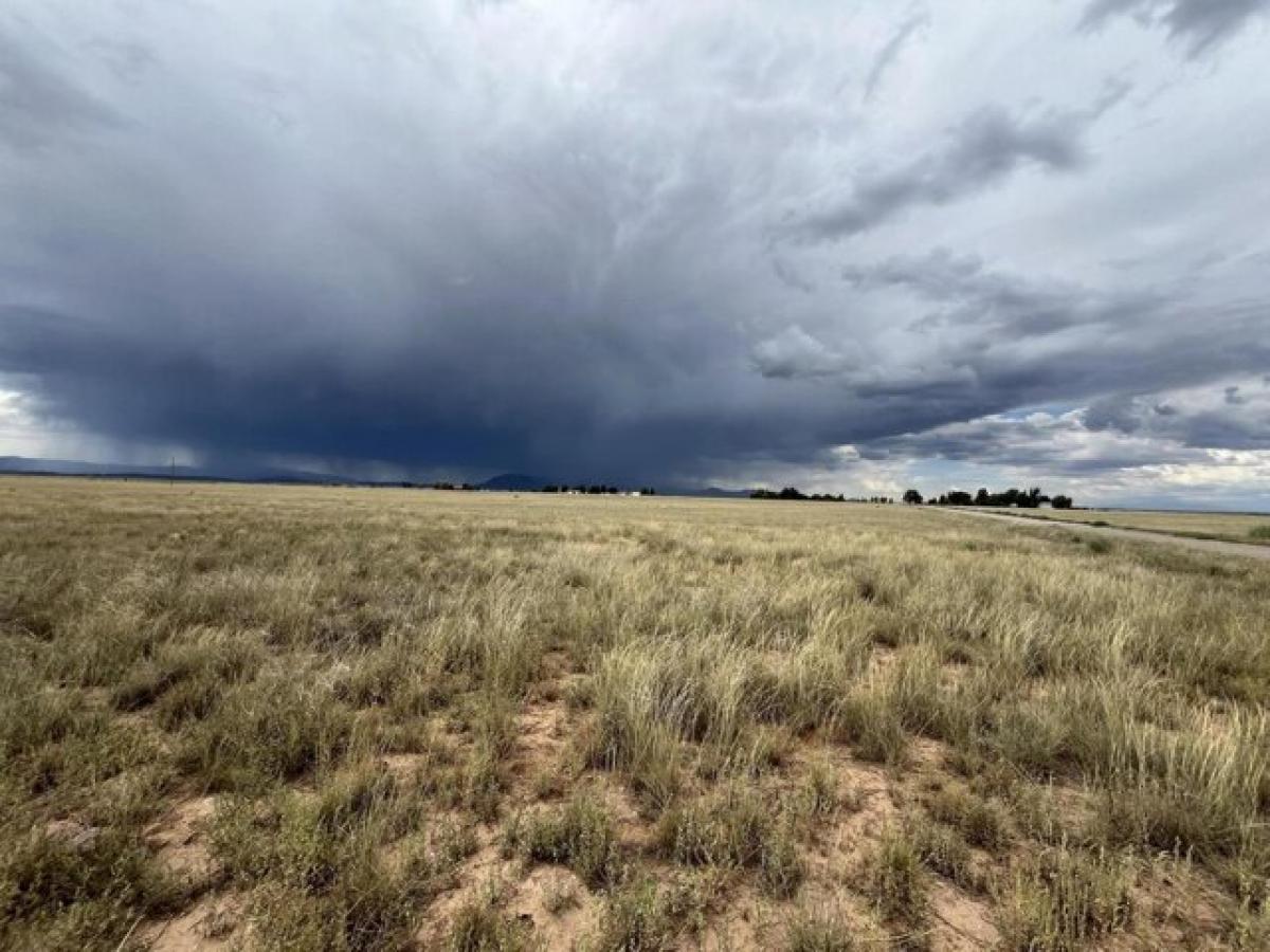 Picture of Residential Land For Sale in Moriarty, New Mexico, United States