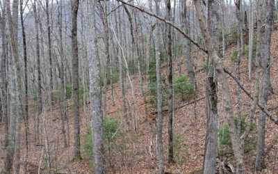 Residential Land For Sale in Hayesville, North Carolina