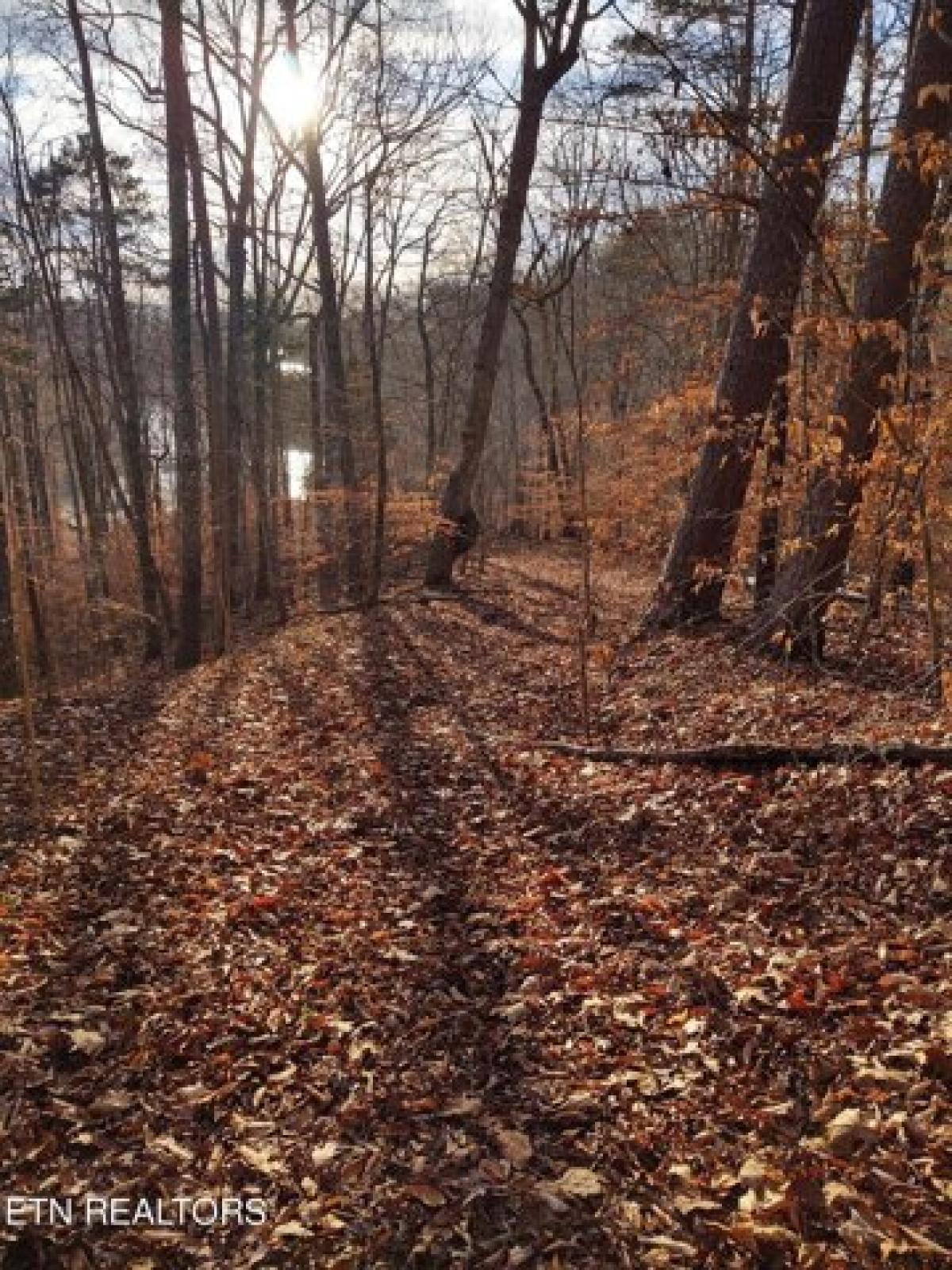 Picture of Residential Land For Sale in Sharps Chapel, Tennessee, United States