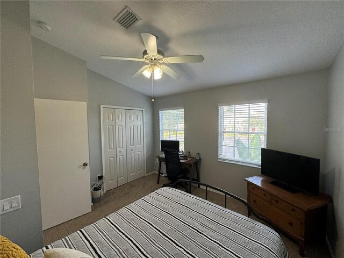 Picture of Home For Rent in Oldsmar, Florida, United States