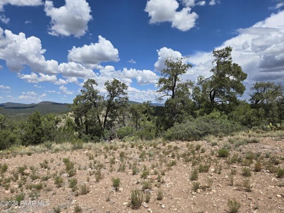 Picture of Residential Land For Sale in Seligman, Arizona, United States