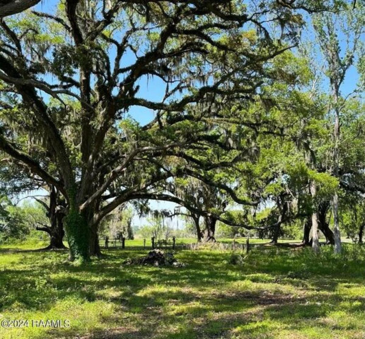 Picture of Residential Land For Sale in New Iberia, Louisiana, United States