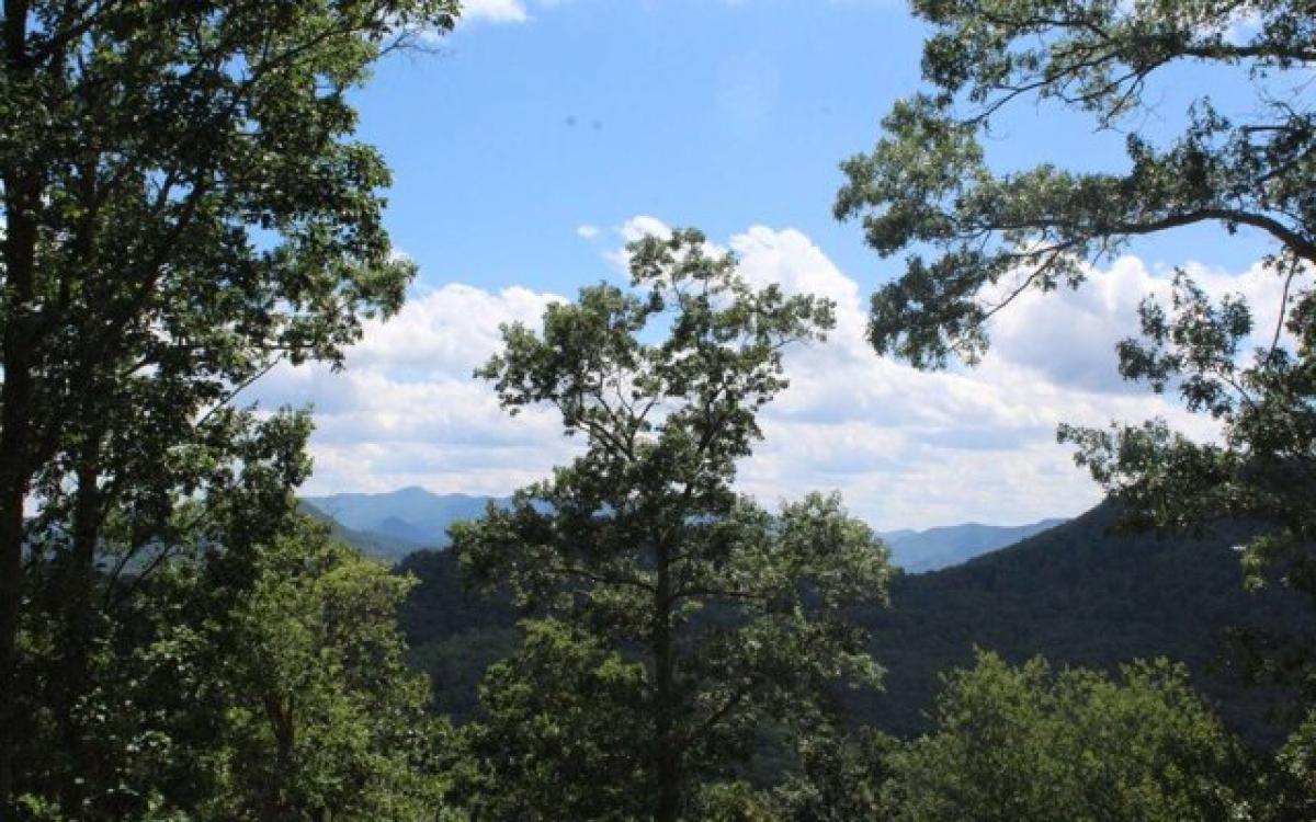 Picture of Residential Land For Sale in Hayesville, North Carolina, United States