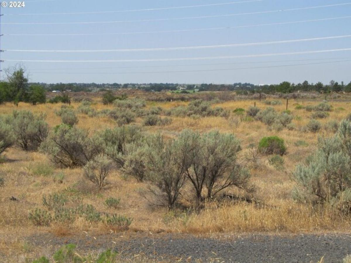 Picture of Residential Land For Sale in Hermiston, Oregon, United States