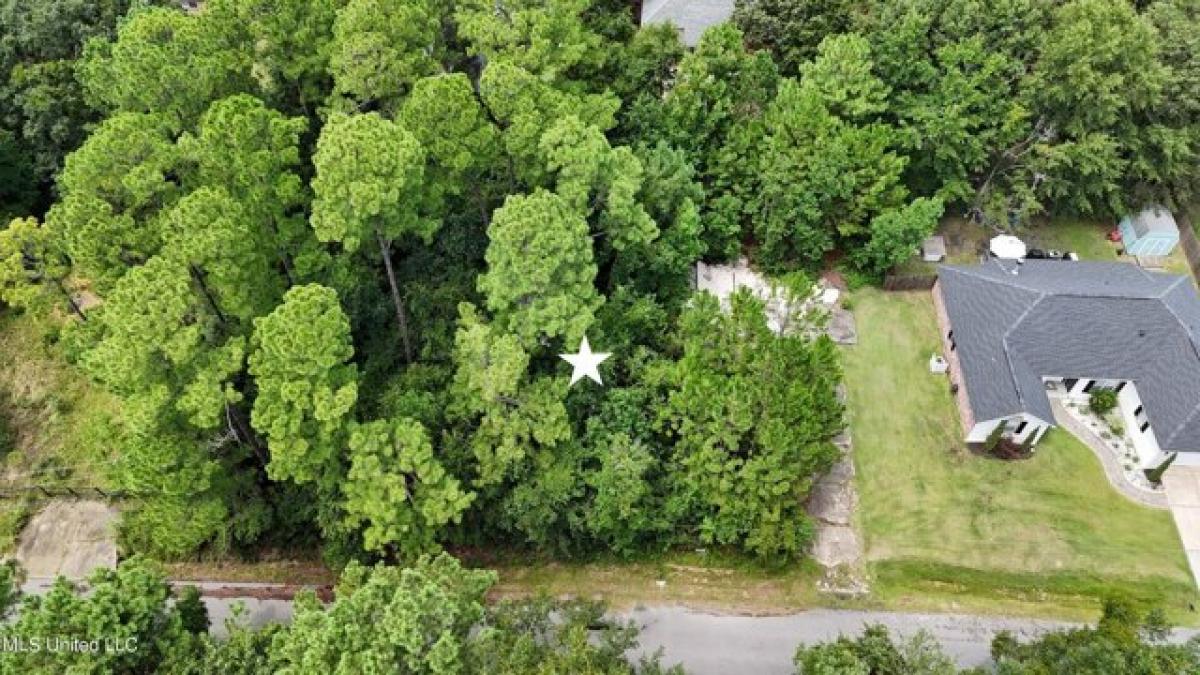 Picture of Residential Land For Sale in Ocean Springs, Mississippi, United States