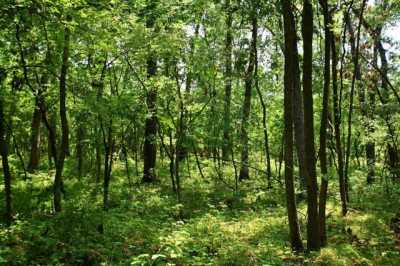 Residential Land For Sale in Plymouth, Indiana