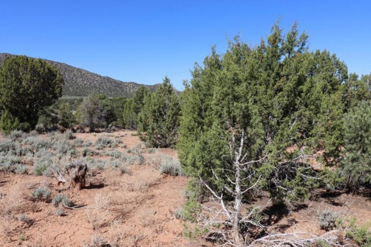 Picture of Residential Land For Sale in Cedar City, Utah, United States