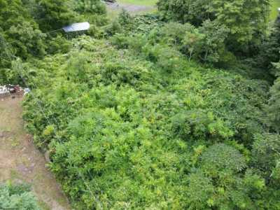 Residential Land For Rent in 