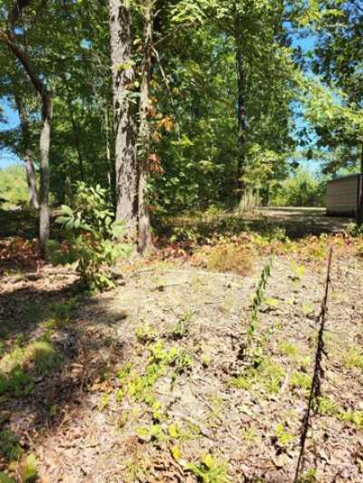 Residential Land For Sale in Holladay, Tennessee