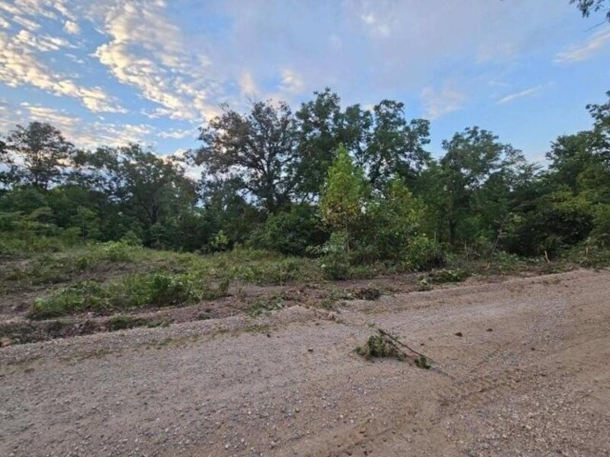 Picture of Residential Land For Sale in Pineville, Missouri, United States