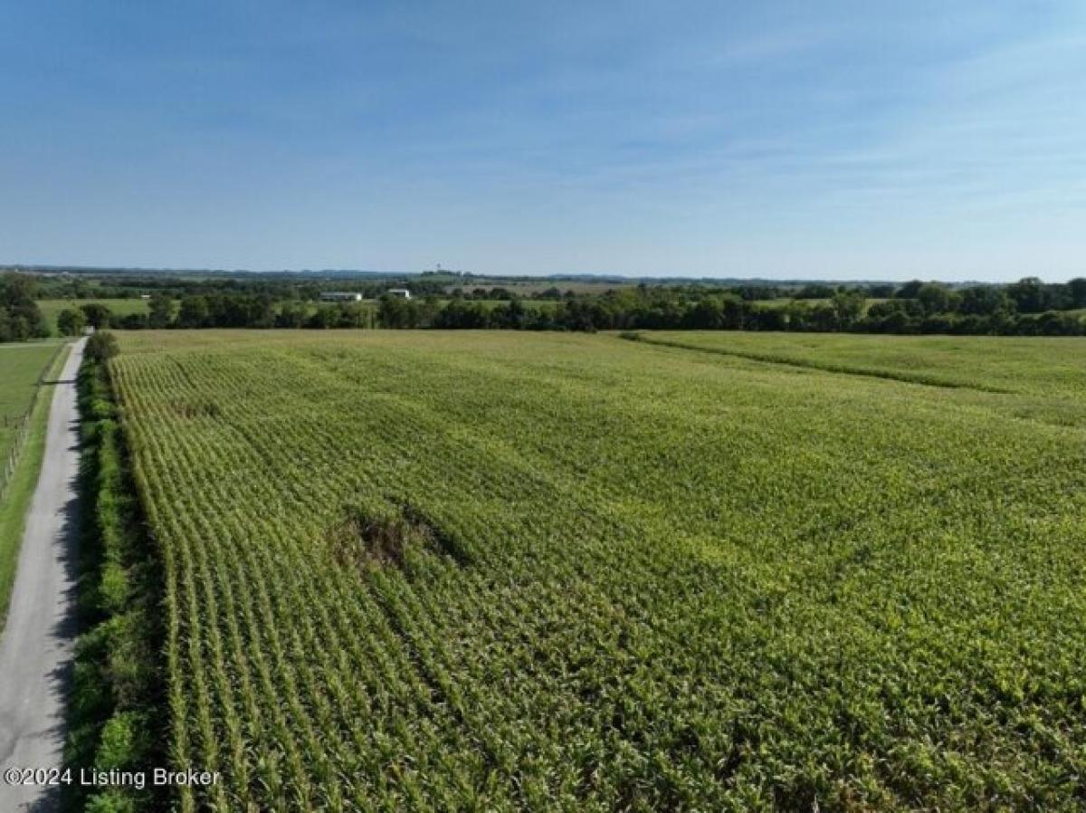 Picture of Residential Land For Sale in Springfield, Kentucky, United States