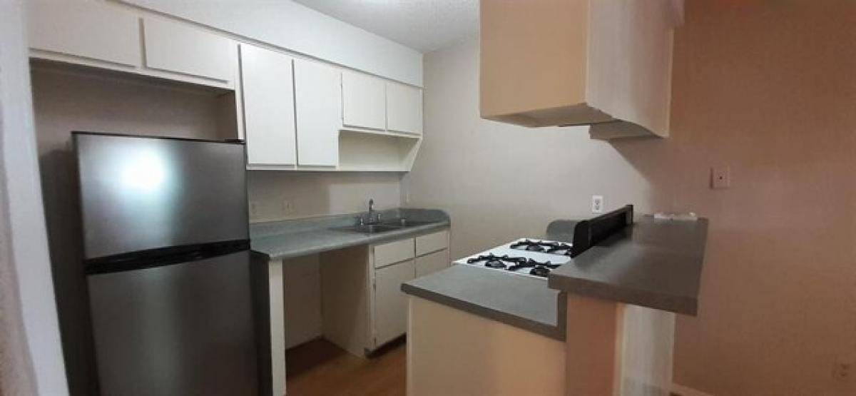 Picture of Apartment For Rent in Austin, Texas, United States