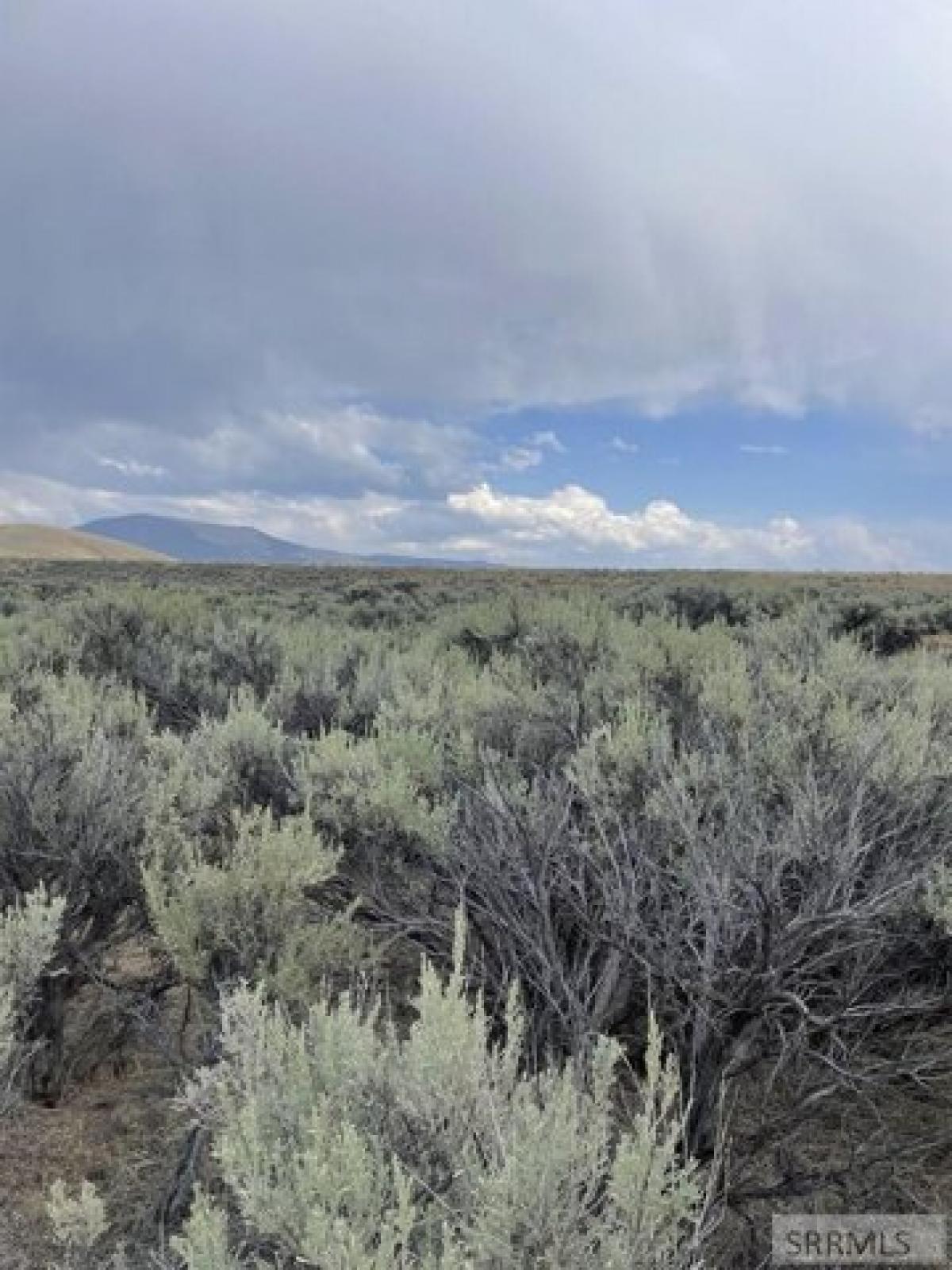 Picture of Residential Land For Sale in Leadore, Idaho, United States