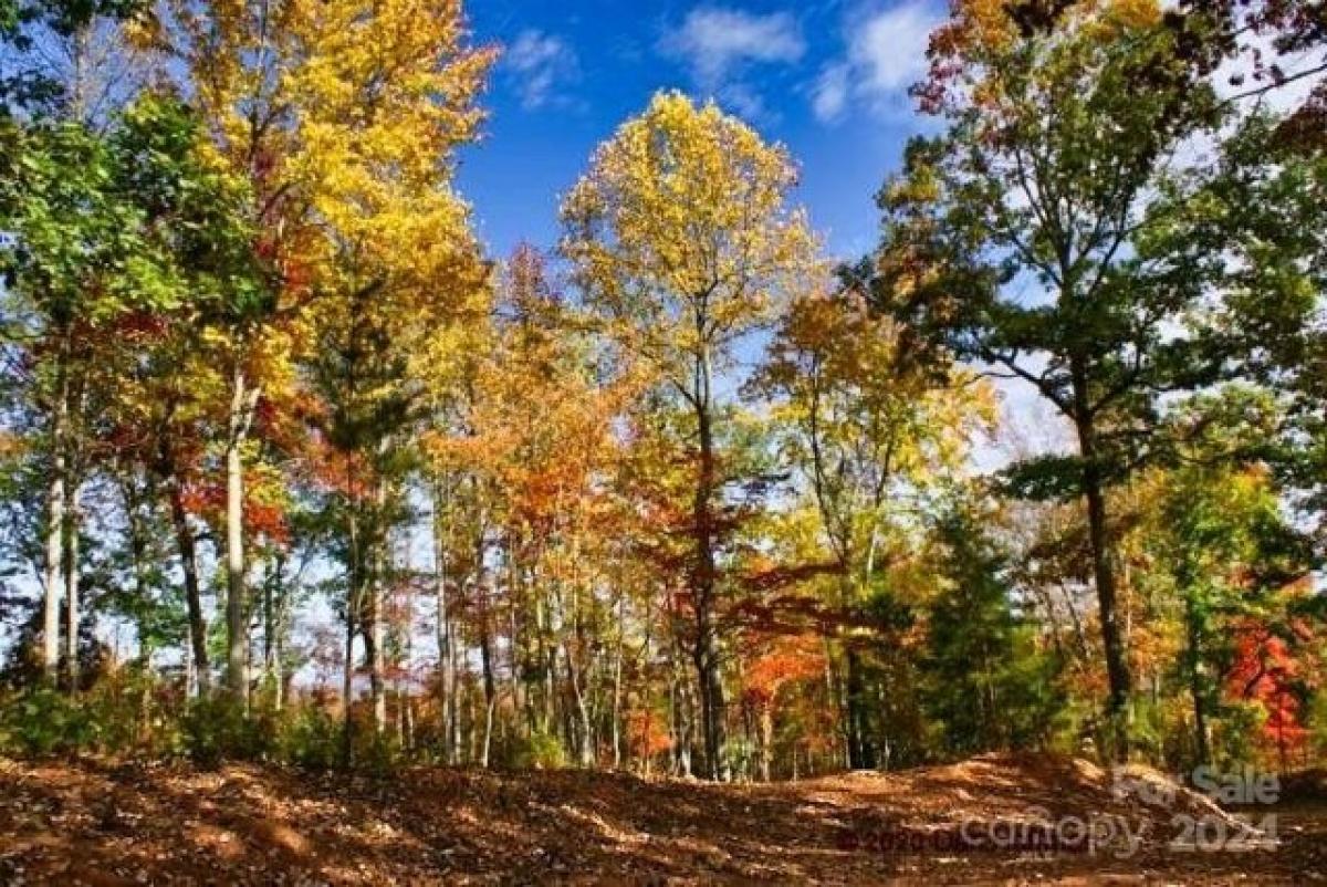 Picture of Residential Land For Sale in Union Mills, North Carolina, United States