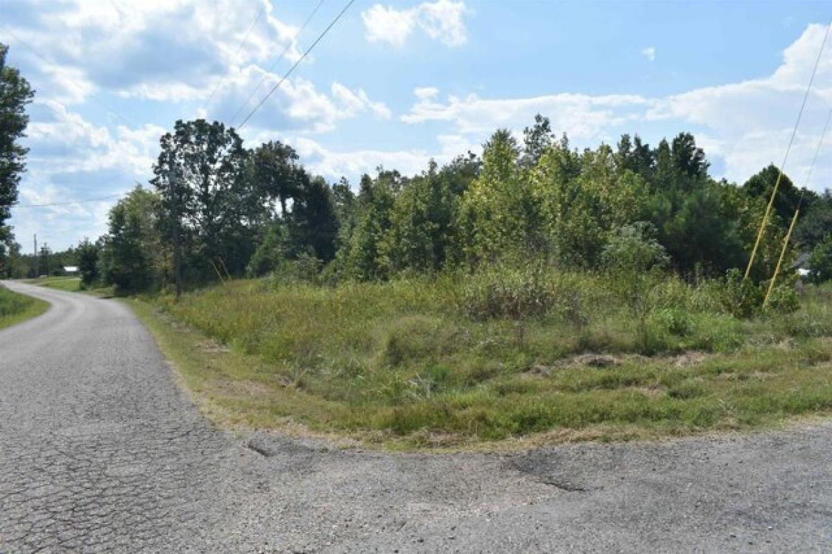 Picture of Residential Land For Rent in Bethel Springs, Tennessee, United States