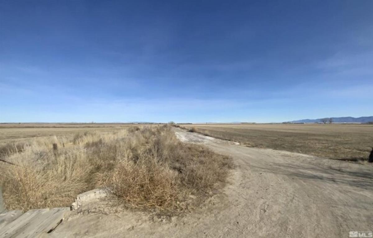 Picture of Residential Land For Sale in Fallon, Nevada, United States