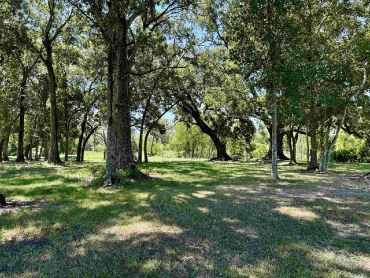 Picture of Residential Land For Sale in Franklin, Louisiana, United States