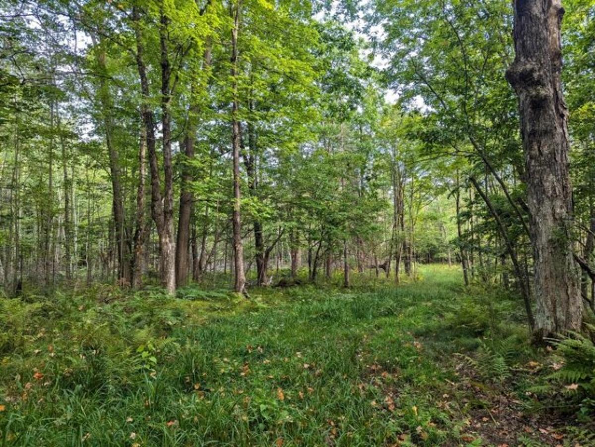 Picture of Residential Land For Sale in Phillips, Wisconsin, United States