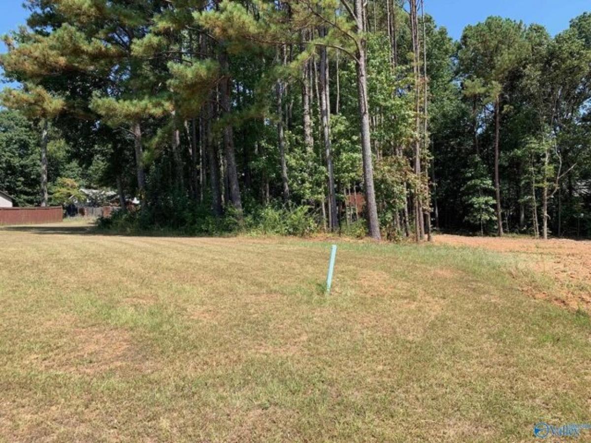 Picture of Residential Land For Sale in Arab, Alabama, United States