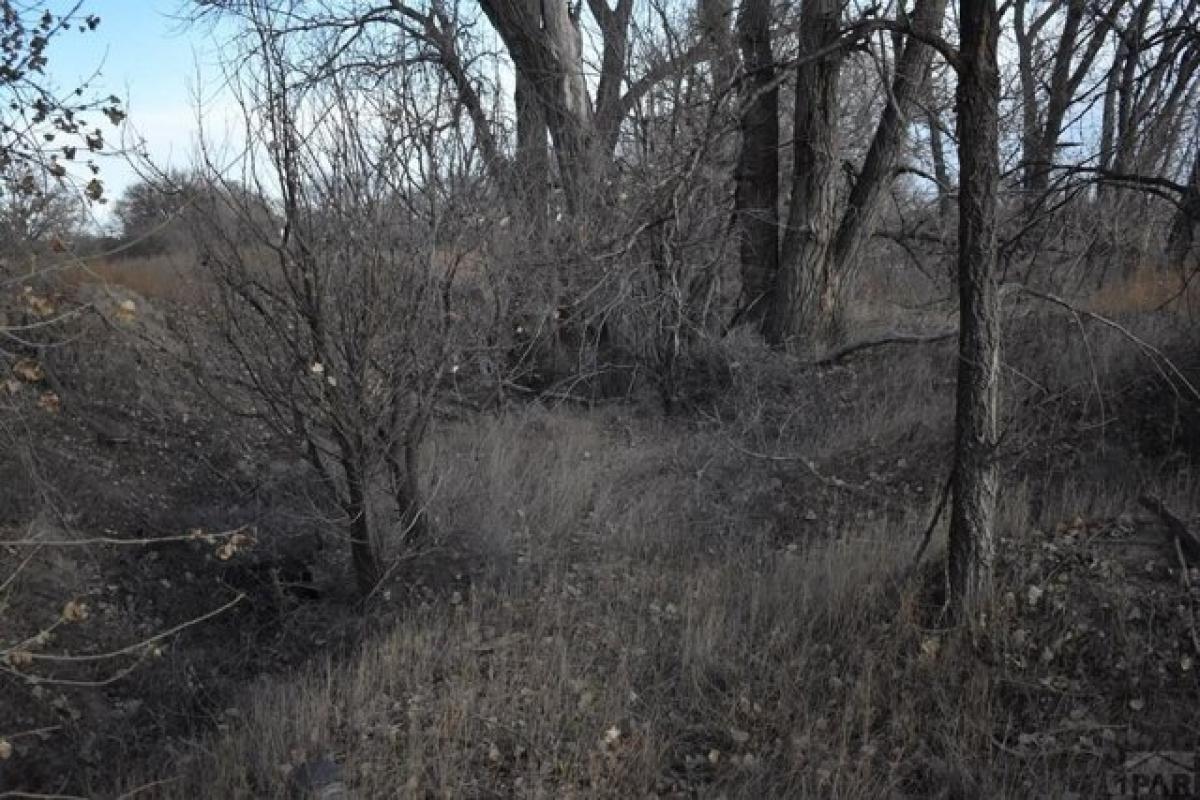 Picture of Residential Land For Sale in Rocky Ford, Colorado, United States