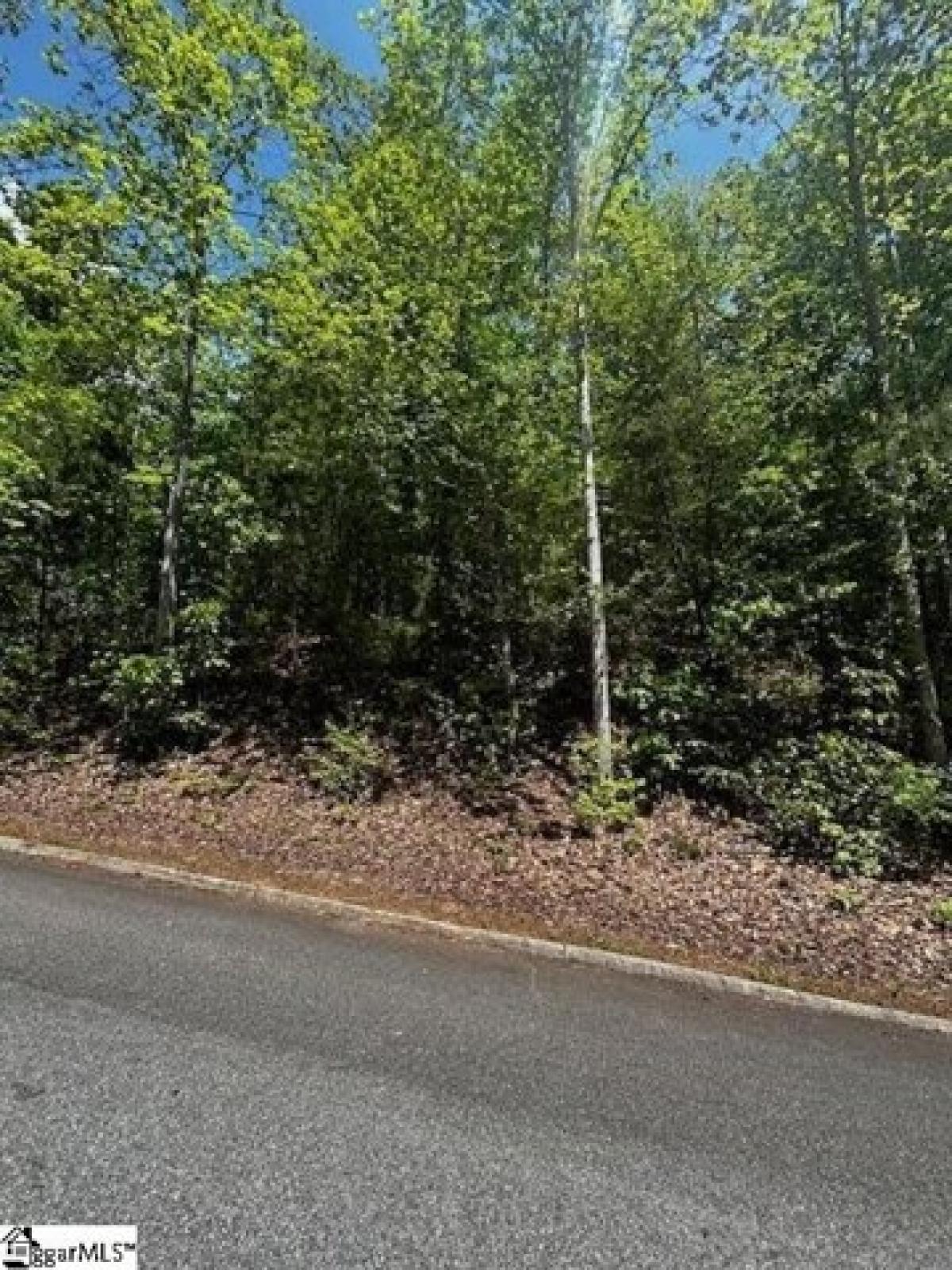 Picture of Residential Land For Sale in Greenville, South Carolina, United States