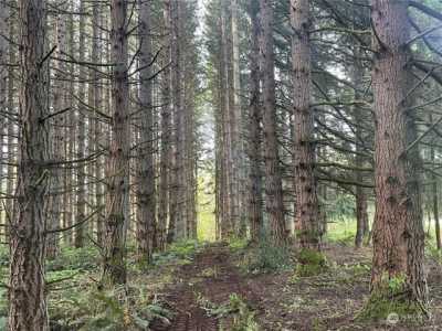 Residential Land For Sale in Orting, Washington