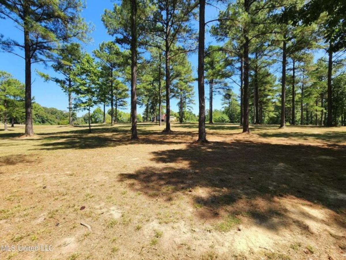 Picture of Residential Land For Sale in Coldwater, Mississippi, United States