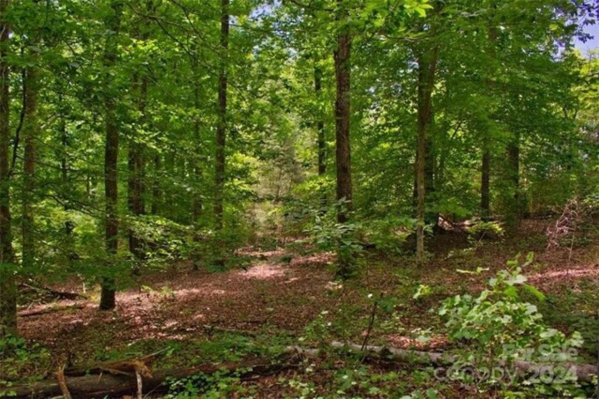 Picture of Residential Land For Sale in Rutherfordton, North Carolina, United States