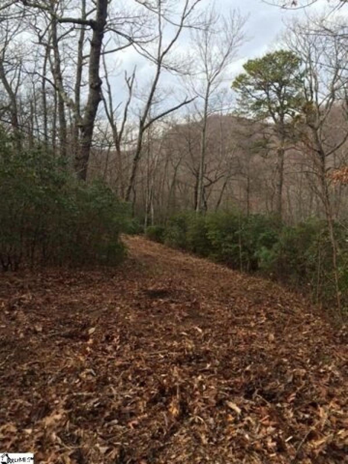 Picture of Residential Land For Sale in Travelers Rest, South Carolina, United States