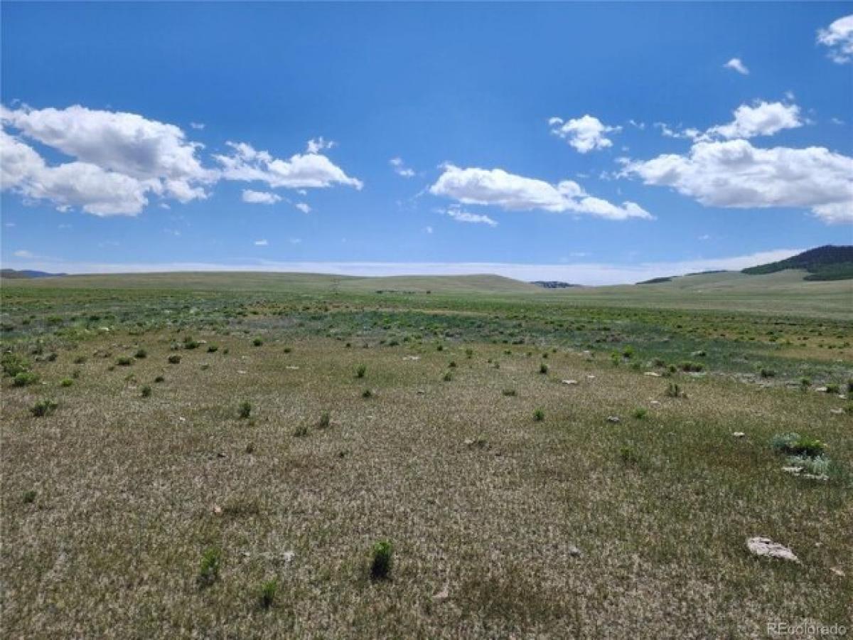 Picture of Residential Land For Sale in Hartsel, Colorado, United States