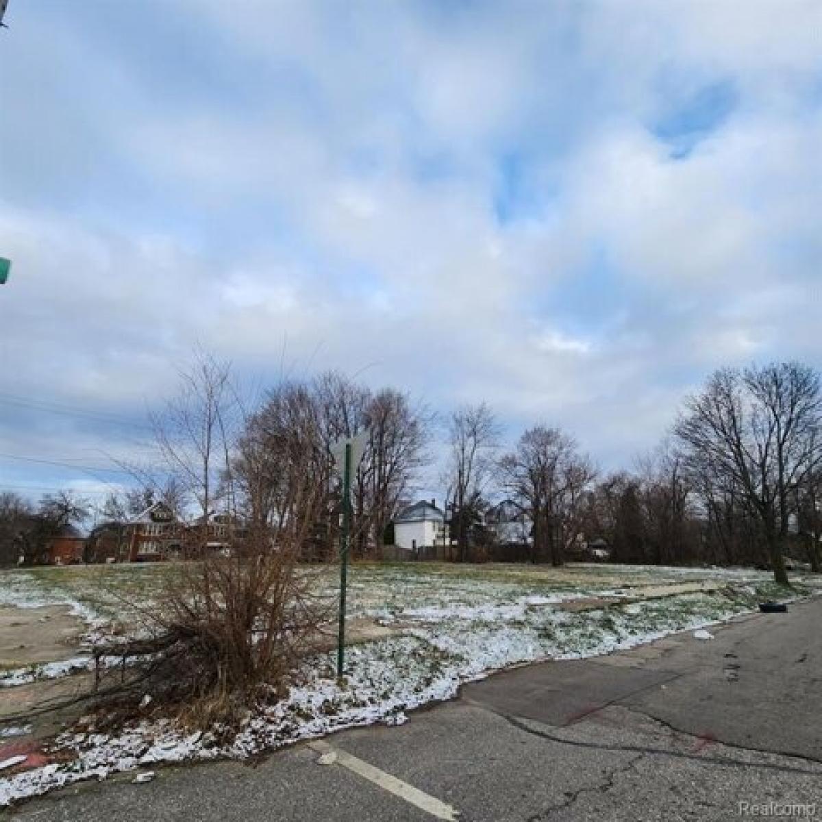 Picture of Residential Land For Sale in Detroit, Michigan, United States