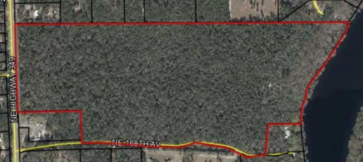 Picture of Residential Land For Sale in Old Town, Florida, United States