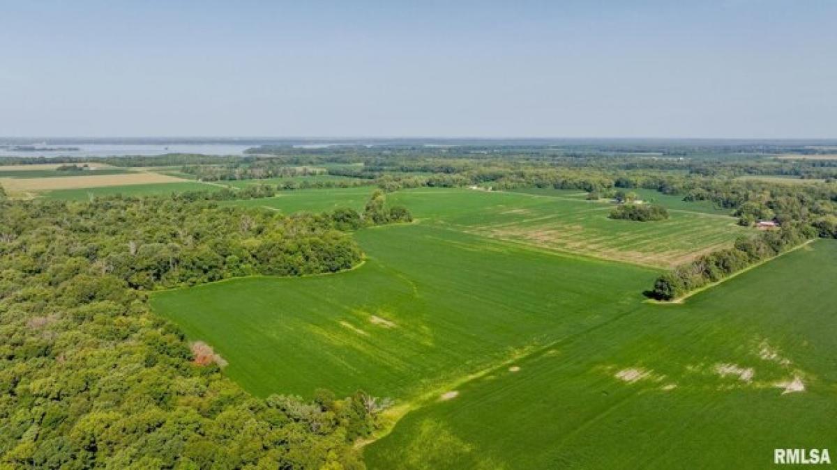 Picture of Residential Land For Sale in Carlyle, Illinois, United States