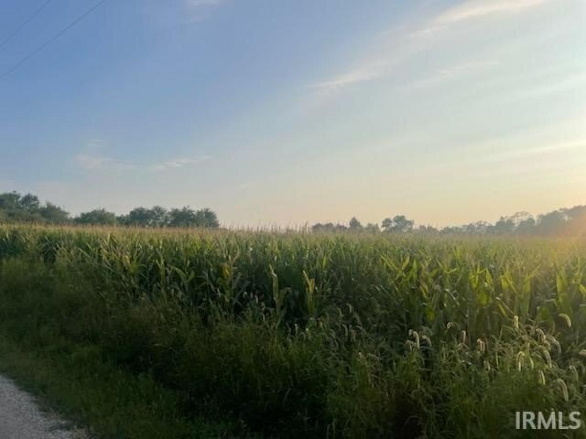 Picture of Residential Land For Sale in Rochester, Indiana, United States