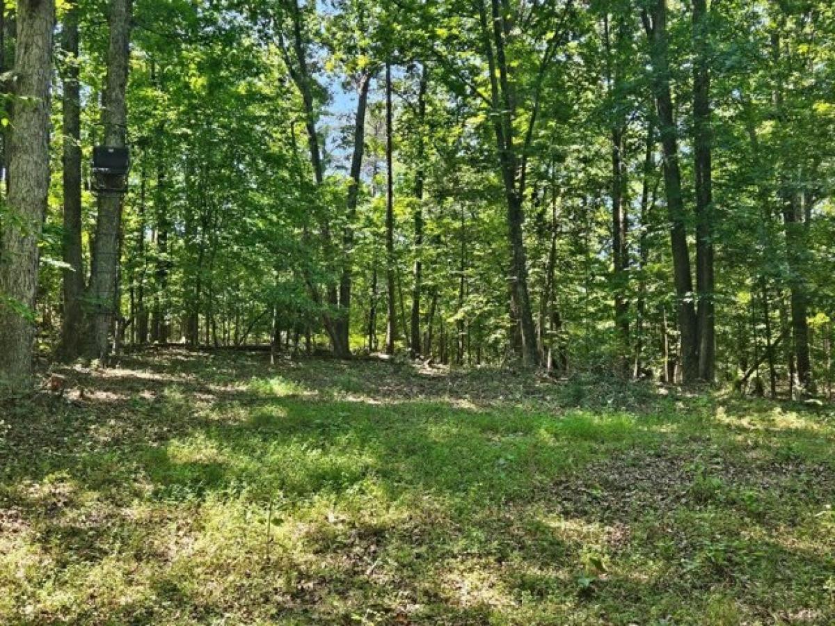 Picture of Residential Land For Sale in Altavista, Virginia, United States