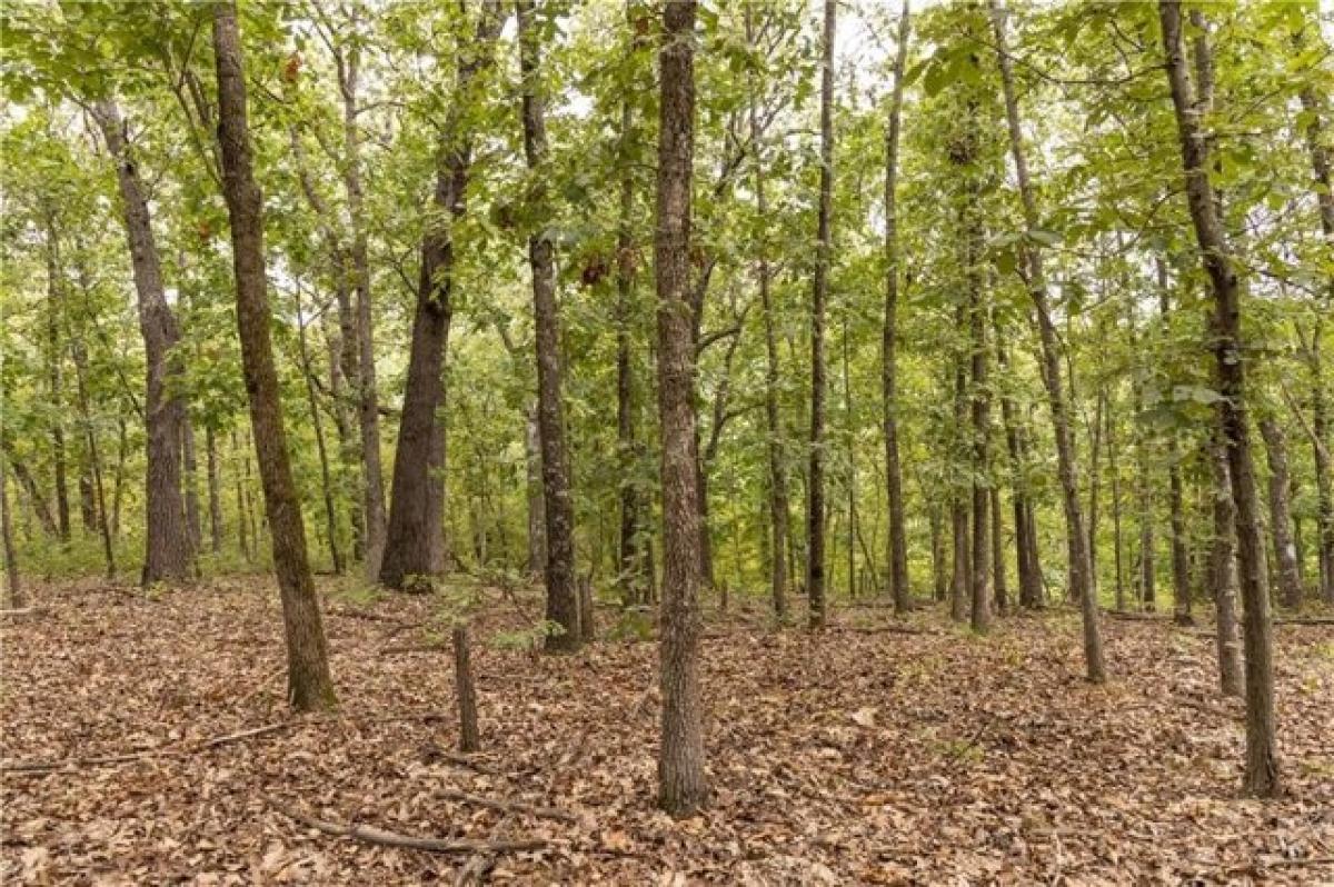 Picture of Residential Land For Sale in Osceola, Missouri, United States