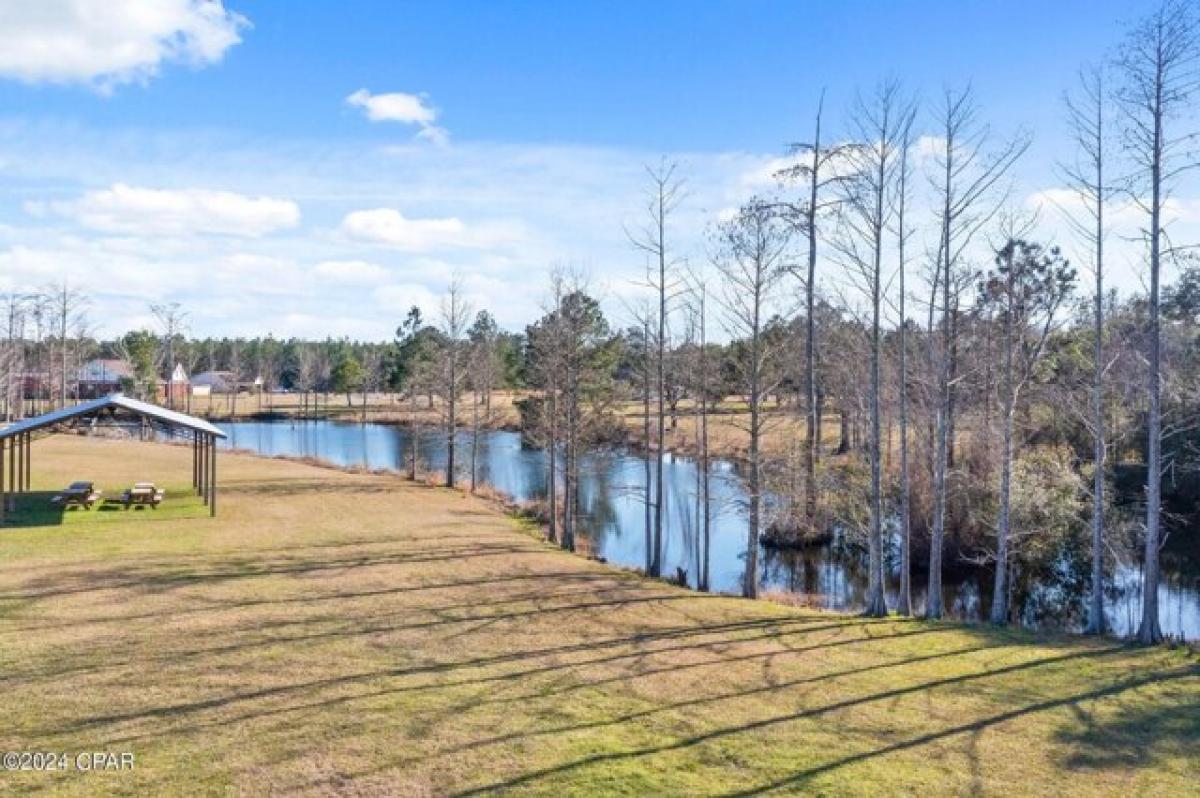 Picture of Residential Land For Sale in Chipley, Florida, United States