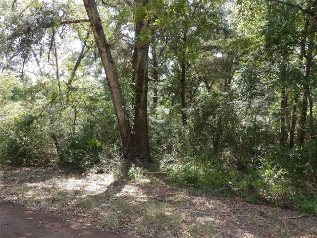 Picture of Residential Land For Sale in Tennessee Colony, Texas, United States