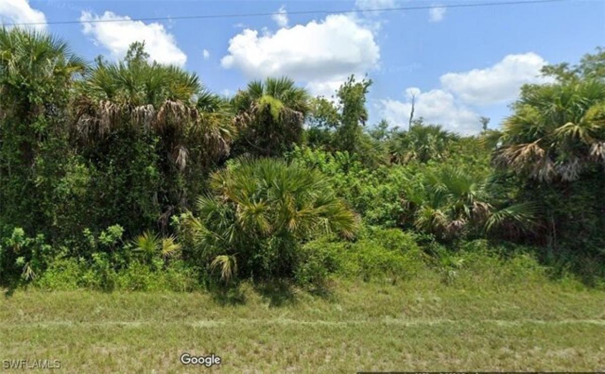 Picture of Residential Land For Sale in Naples, Florida, United States