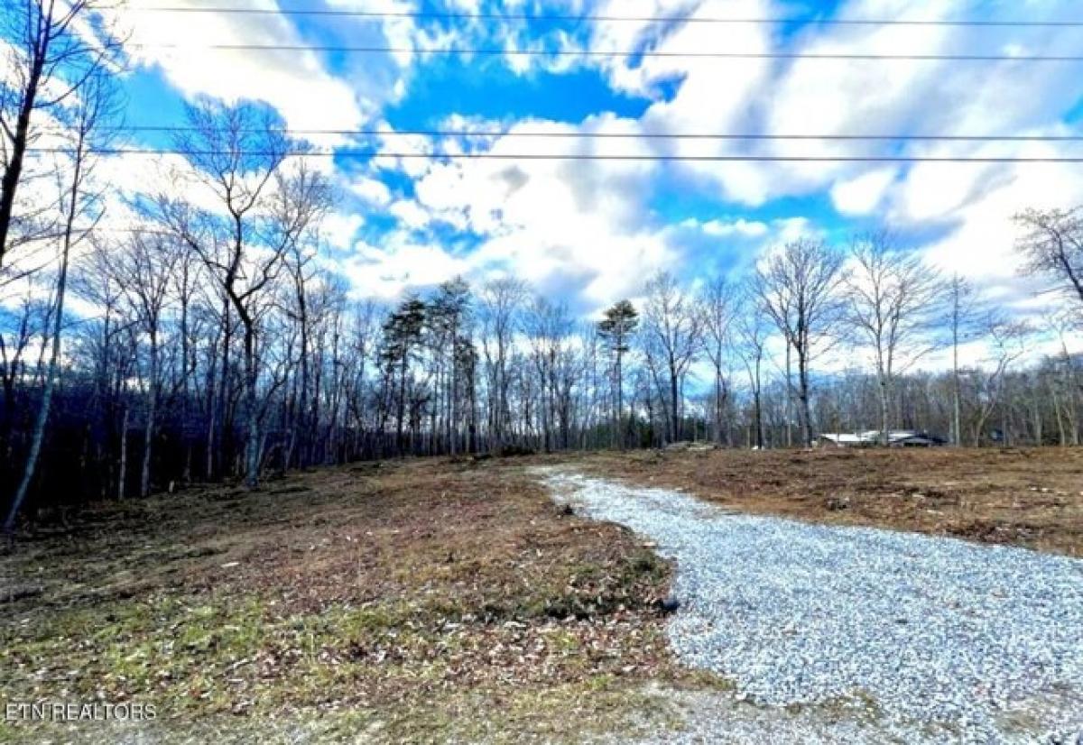 Picture of Residential Land For Sale in Crossville, Tennessee, United States