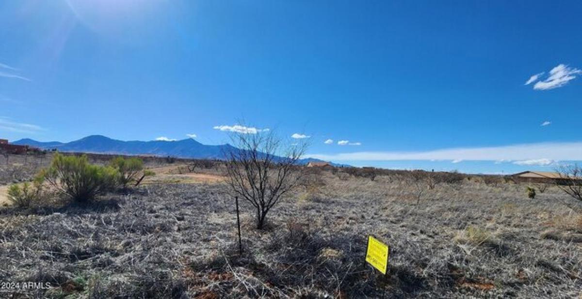 Picture of Residential Land For Sale in Hereford, Arizona, United States