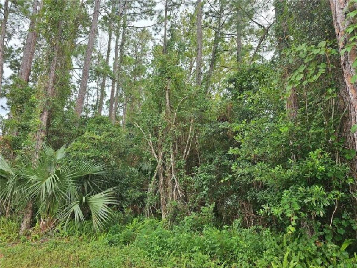 Picture of Residential Land For Sale in Palm Coast, Florida, United States