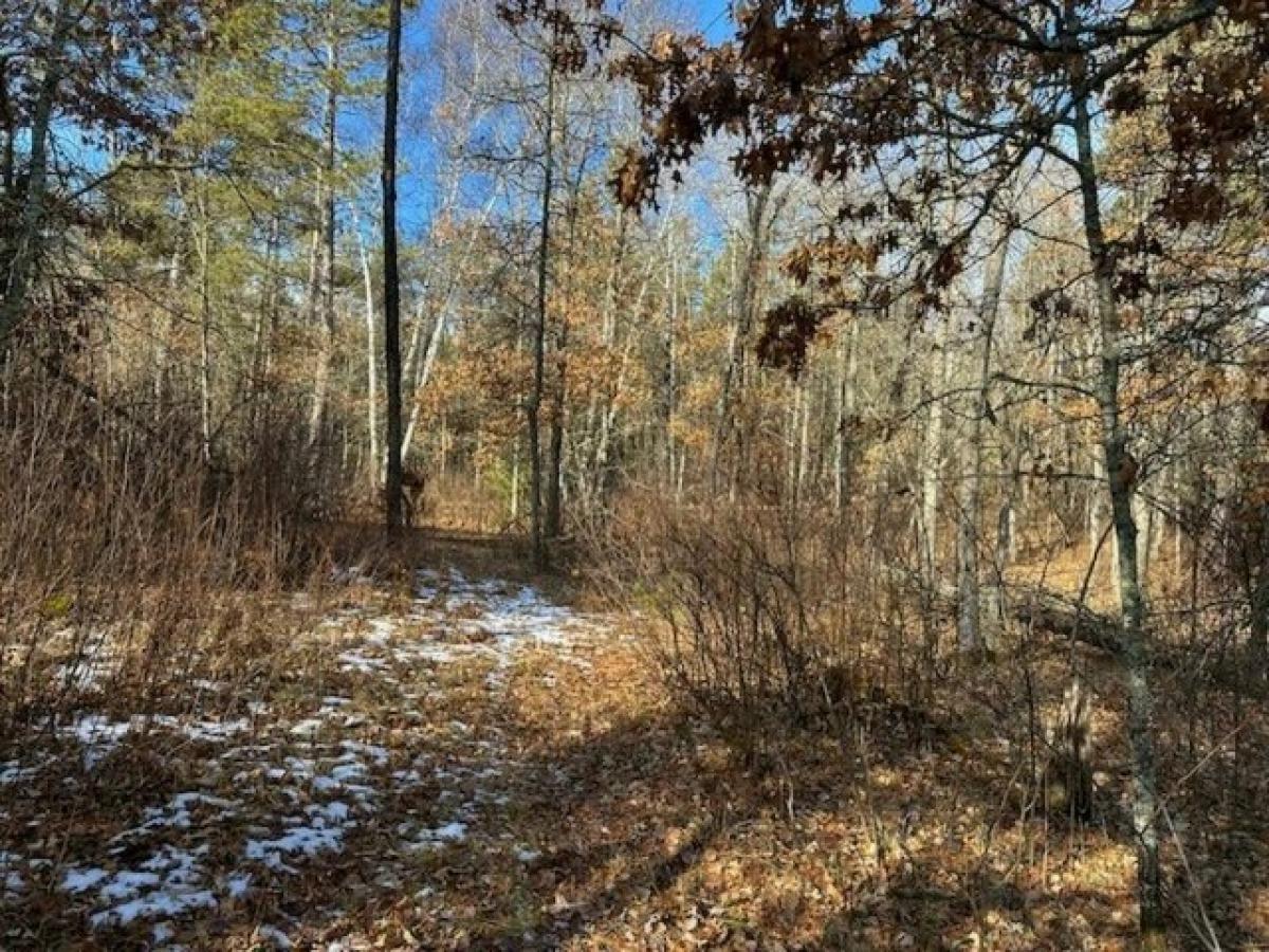 Picture of Residential Land For Sale in Nevis, Minnesota, United States