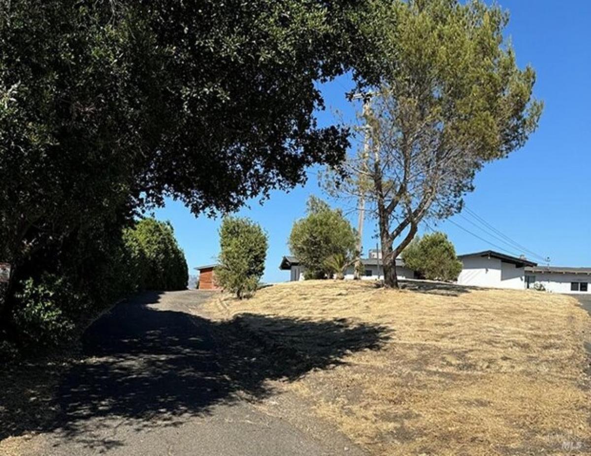 Picture of Home For Sale in Napa, California, United States