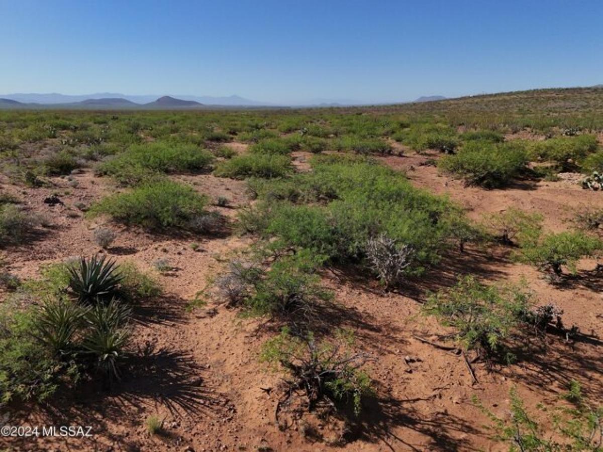 Picture of Residential Land For Sale in Douglas, Arizona, United States