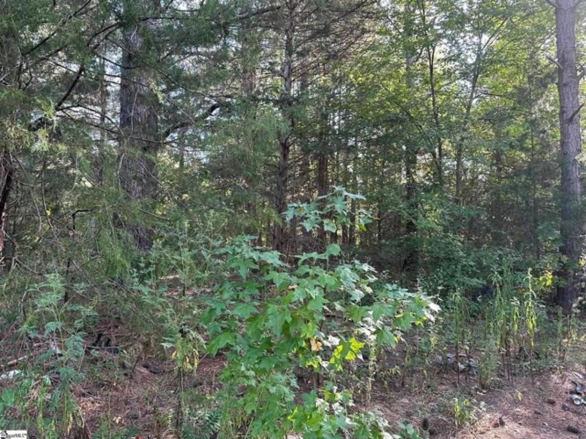 Picture of Residential Land For Sale in Gray Court, South Carolina, United States