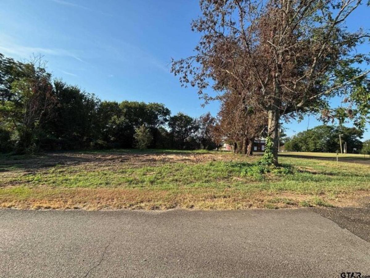 Picture of Residential Land For Sale in Marietta, Texas, United States