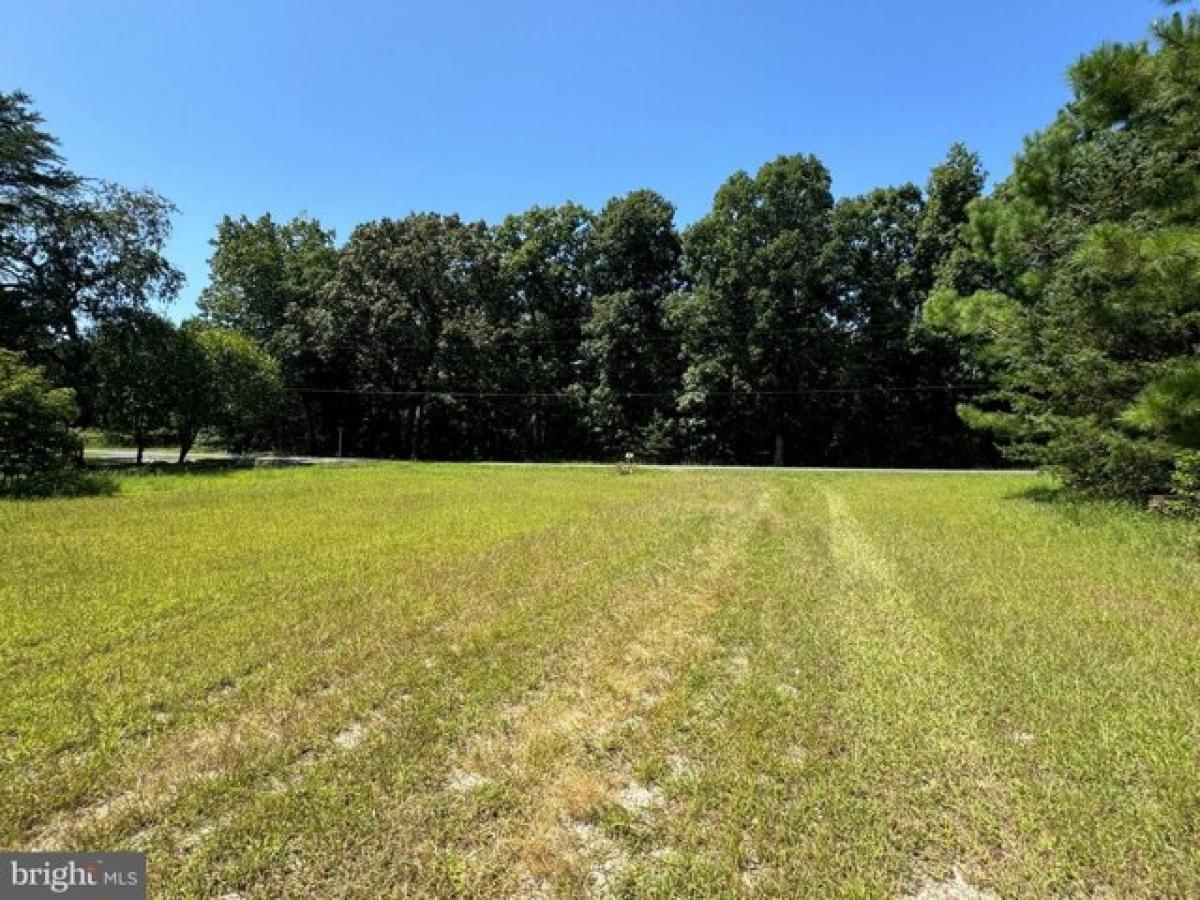 Picture of Residential Land For Sale in Harrington, Delaware, United States