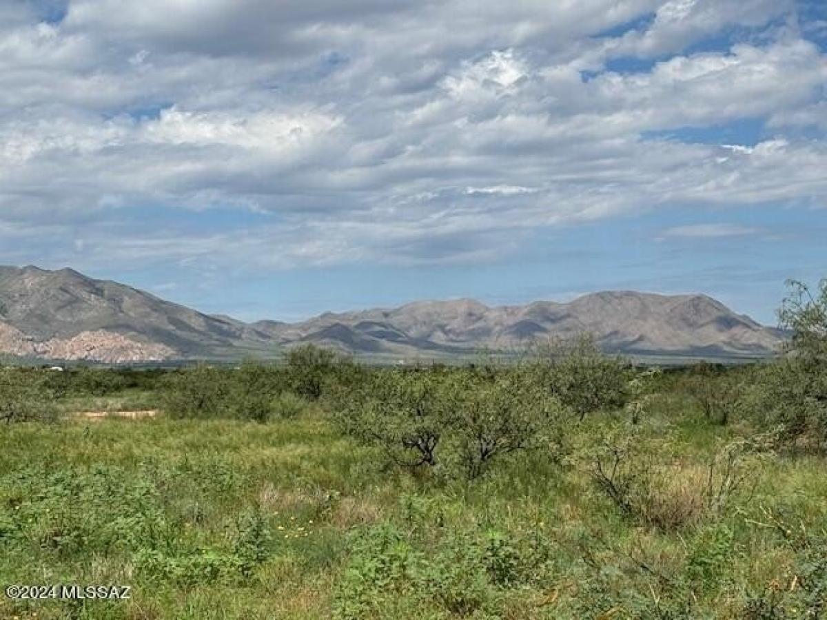 Picture of Residential Land For Sale in Pearce, Arizona, United States